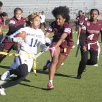 article image - In pursuit